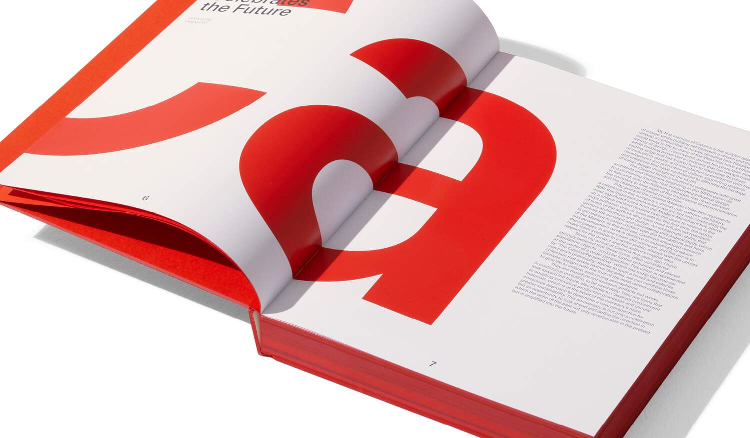 Book ECHOES, 50 years of iMaestri | Cassina